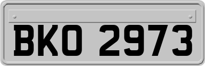 BKO2973