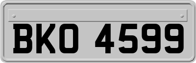 BKO4599