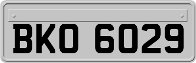BKO6029