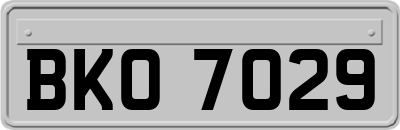 BKO7029