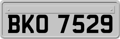 BKO7529