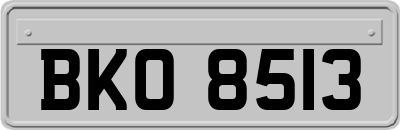 BKO8513