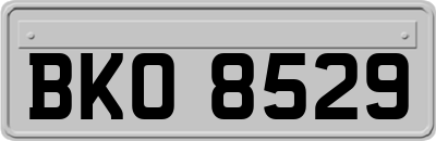 BKO8529