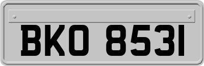 BKO8531
