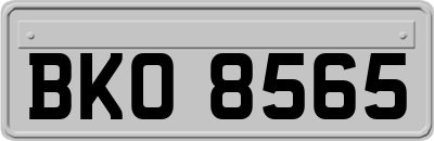 BKO8565