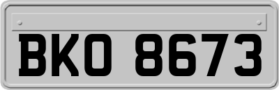 BKO8673