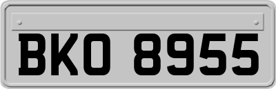 BKO8955