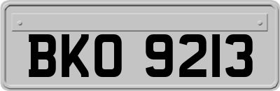 BKO9213