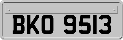 BKO9513