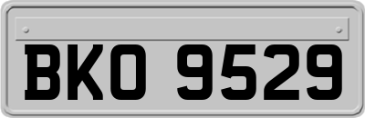 BKO9529