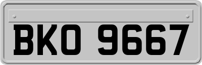 BKO9667
