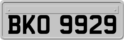 BKO9929