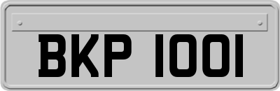 BKP1001