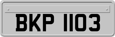 BKP1103