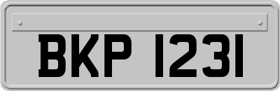 BKP1231