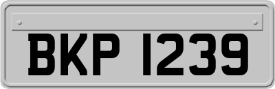 BKP1239
