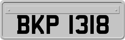 BKP1318