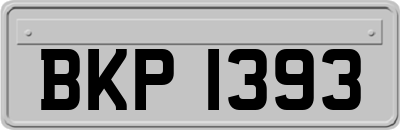 BKP1393