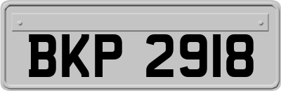 BKP2918