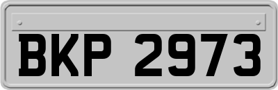 BKP2973