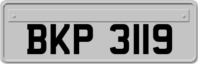 BKP3119