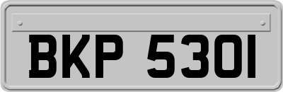 BKP5301