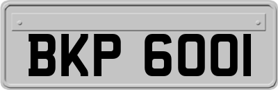 BKP6001