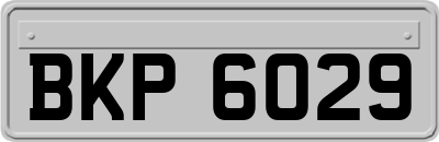 BKP6029