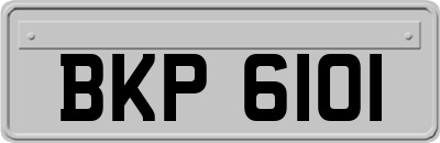 BKP6101