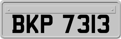 BKP7313