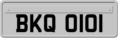 BKQ0101