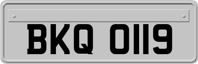 BKQ0119