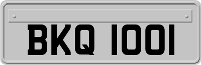 BKQ1001