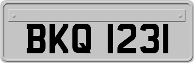 BKQ1231