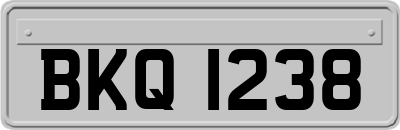 BKQ1238