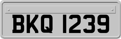 BKQ1239
