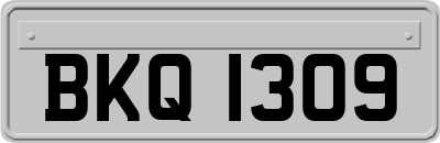 BKQ1309