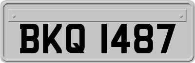 BKQ1487