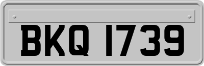BKQ1739