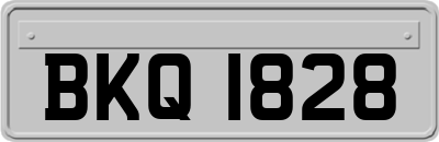 BKQ1828