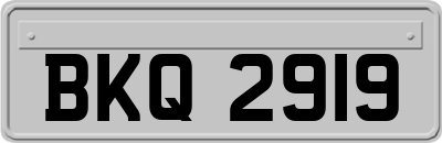 BKQ2919