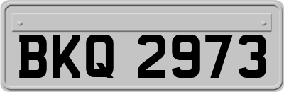 BKQ2973