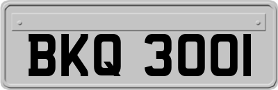 BKQ3001
