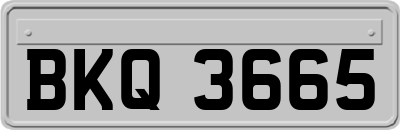 BKQ3665