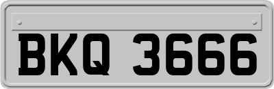 BKQ3666