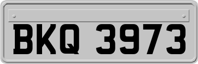 BKQ3973