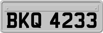 BKQ4233