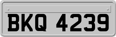 BKQ4239