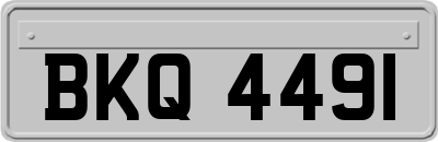 BKQ4491