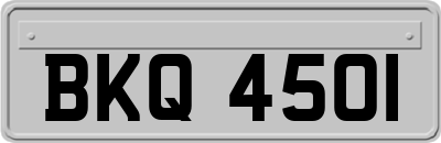 BKQ4501